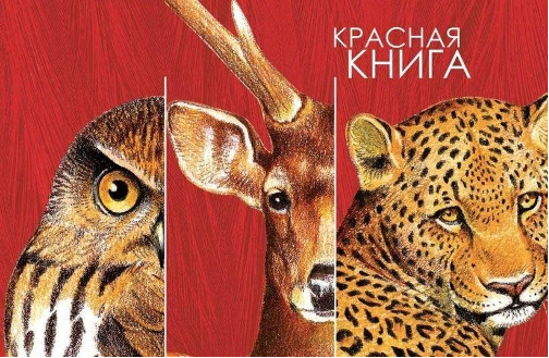 Памятка о порядке действий в отношении ивотного, занесенного в Красную книгу..